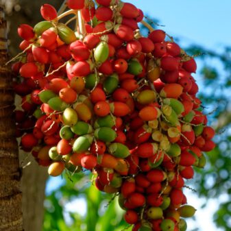 pexels-christian-hembert-1081250355-35553100